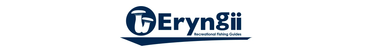 グラフィックデザイン