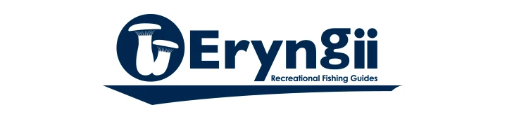 グラフィックデザイン